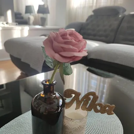 Daire Apartman Nika
