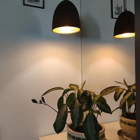 Apartman Nika *